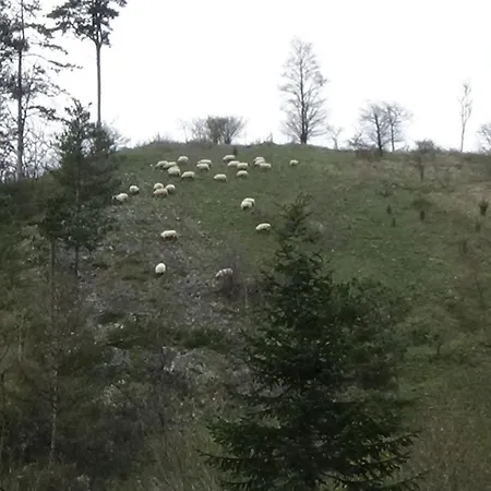 Le Chaleureux De Vieuxville 1 *