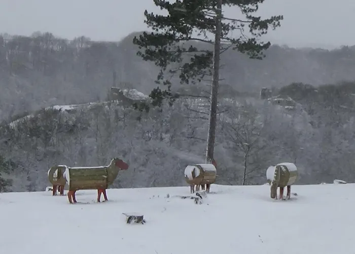 Le Chaleureux De Vieuxville 1 Durbuy