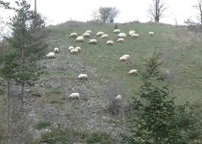 Chalet Le Chaleureux De Vieuxville 1 Durbuy