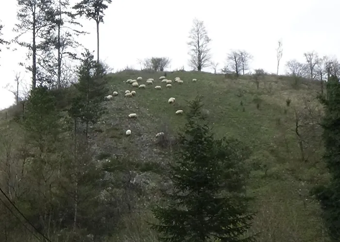 Le Chaleureux De Vieuxville 1 *